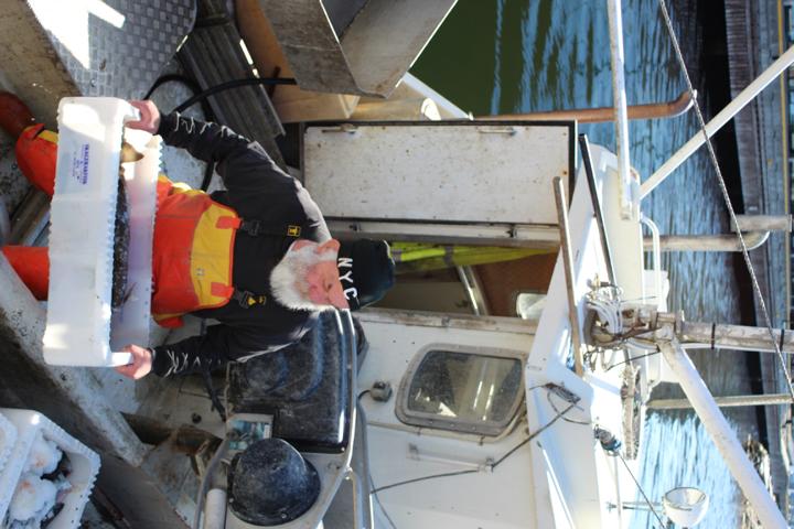 Weser-Kurier "Mit dem Schiff nach Norwegen"