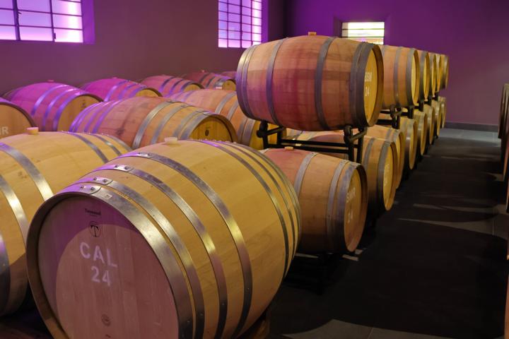 Tradition in Eichenholz: Weinfässer im „Consorzio Vini di San Marino" – hier reift der lokale Geschmack der ältesten Republik der Welt