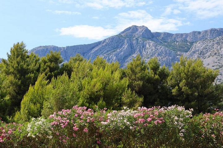 Die bergige Halbinsel Pelješac präsentiert sich mit malerischen Landschaften und lädt zu Wandertouren ein