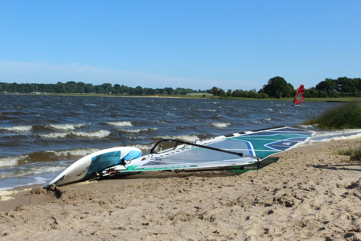 Das flache Wasser und der gleichmäßige Wind in den Buchten der Schlei bietet Windsurfern ideale Bedingungen