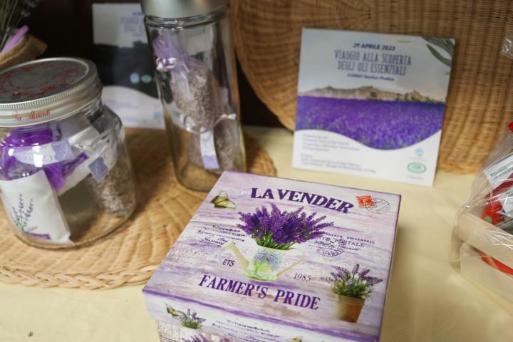 Ghenea Essential bezieht Pflanzen wie Lavendel, Thymian und Rosmarin aus biologischem Anbau. Diese bilden die Basis für hochwertige ätherische Öle und Hautpflegeprodukte