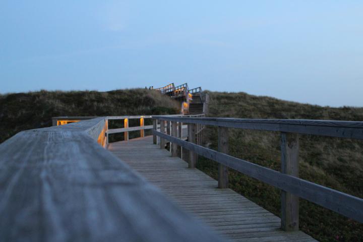 Sylt ist zu circa 33 Prozent mit wunderschöne Dünenlandschaft bedeckt