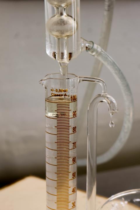 Traditionelle Wasserdampfdestillation: Getrocknete Lavendelstängel werden erhitzt und der heiße Wasserdampf löst die ätherischen Öle. Mit der Abkühlung trennt sich das wertvolle Lavendelöl vom Hydrolat