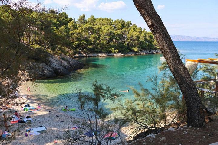 Ziel der Fahrradtour von Stari Grad ist der malerische Fischerort Jelsa mit seinen traumhaften Buchten und Stränden, die zum Baden einladen