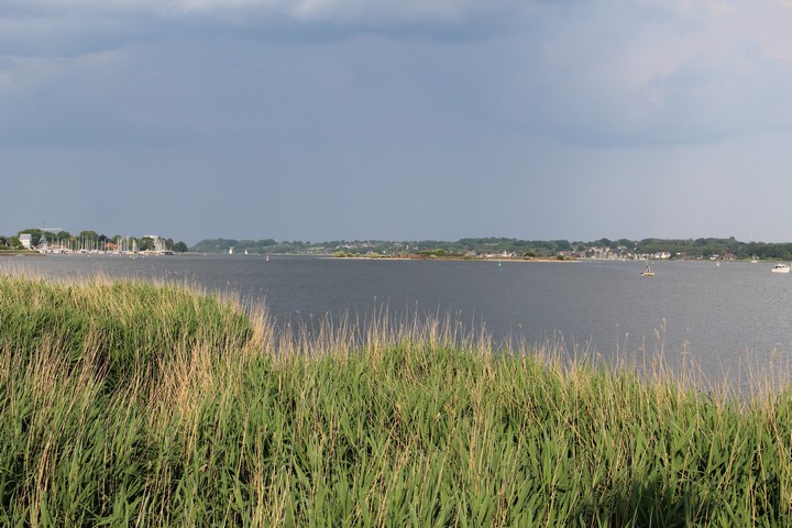 Die Möweninsel liegt in der „Kleinen Breite“ der Schlei direkt vor der Stadt Schleswig. Heute ist sie ein Vogelschutzgebiet und darf nicht betreten werden