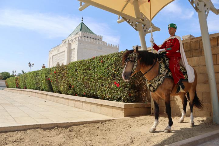 Eine berittene Wache in Rabat vor dem Eingang zum Mausoleum von Mohammed V, dem Begründer der marokkanischen Unabhängigkeit