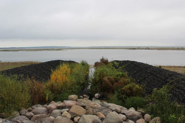 Ein speziell entwickeltes Flutungsmanagement legt fest wann und wieviel Spreewasser abgeleitet wird, ohne die Tier- und Pflanzenwelt des Flusses zu beeinträchtigen