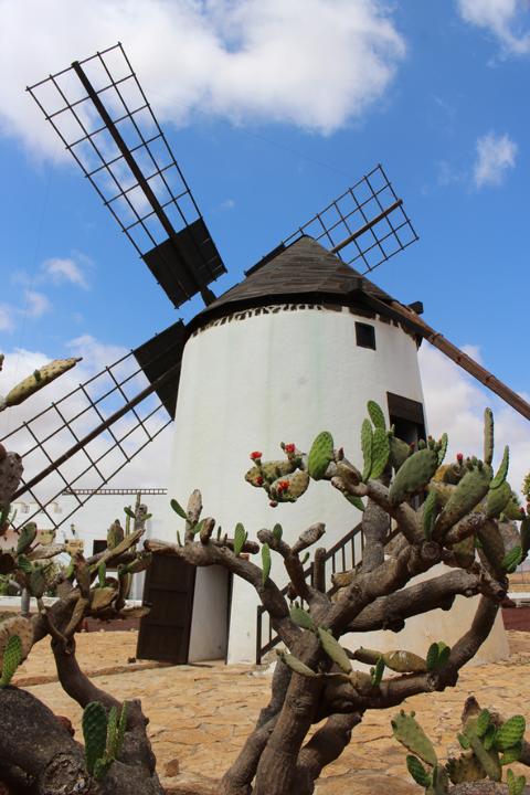 Eine typische Windmühle auf den Kanaren