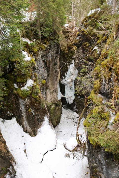 Der vereiste Schwarzwasserbach im Winter – eindrucksvolle Natur im Kleinwalsertal