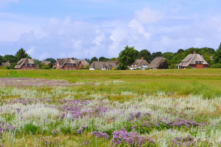 Ungefähr in der Inselmitte liegt das Friesendorf Nebel mit seinen alten Reetdachhäusern