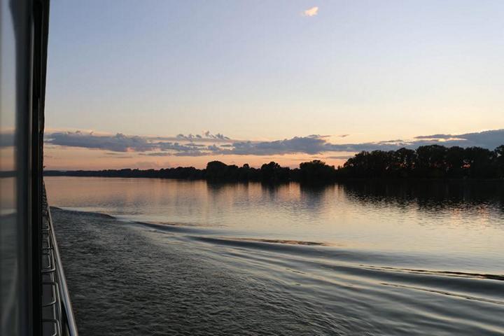 Die „Thurgau Prestige“ gleitet sanft durch die Naturlandschaften der Donau